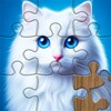 星空传媒公司正规吗免费版